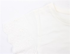 Name It top white alyssum